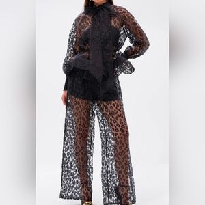 Sheer Leopard Print Panys